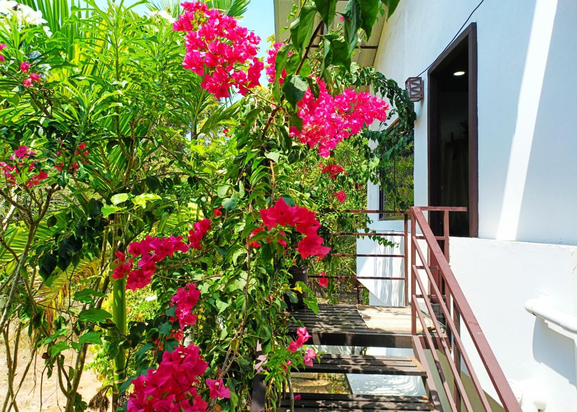 Alma Homestay Mararikulam Zewnętrze zdjęcie